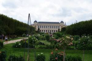 Jardin de Plantes