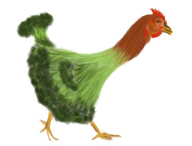 brokkolihuhn2