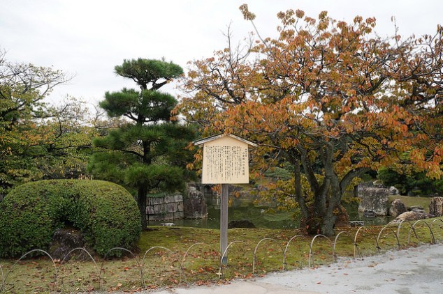 30225020934_a0d56069fb_z