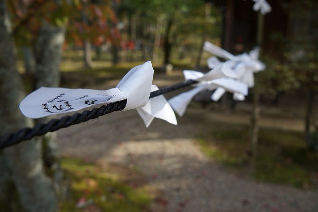 30225054194_4bc7a36d5d_z