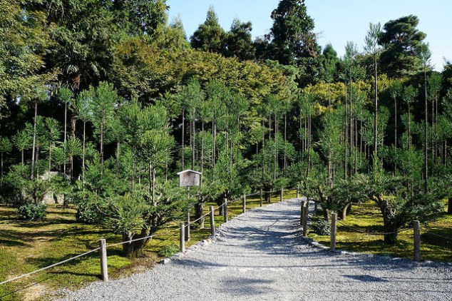 30740763792_dd7dc2dc01_z