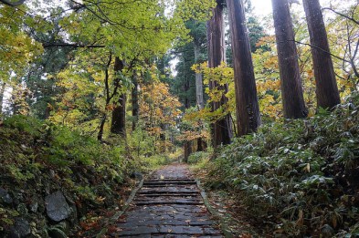 30740583672_fe694c454f_z